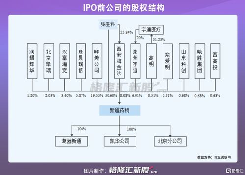 新通藥物沖刺科創板 尚未盈利的創新藥企，授權與合作開發模式下的機遇與挑戰